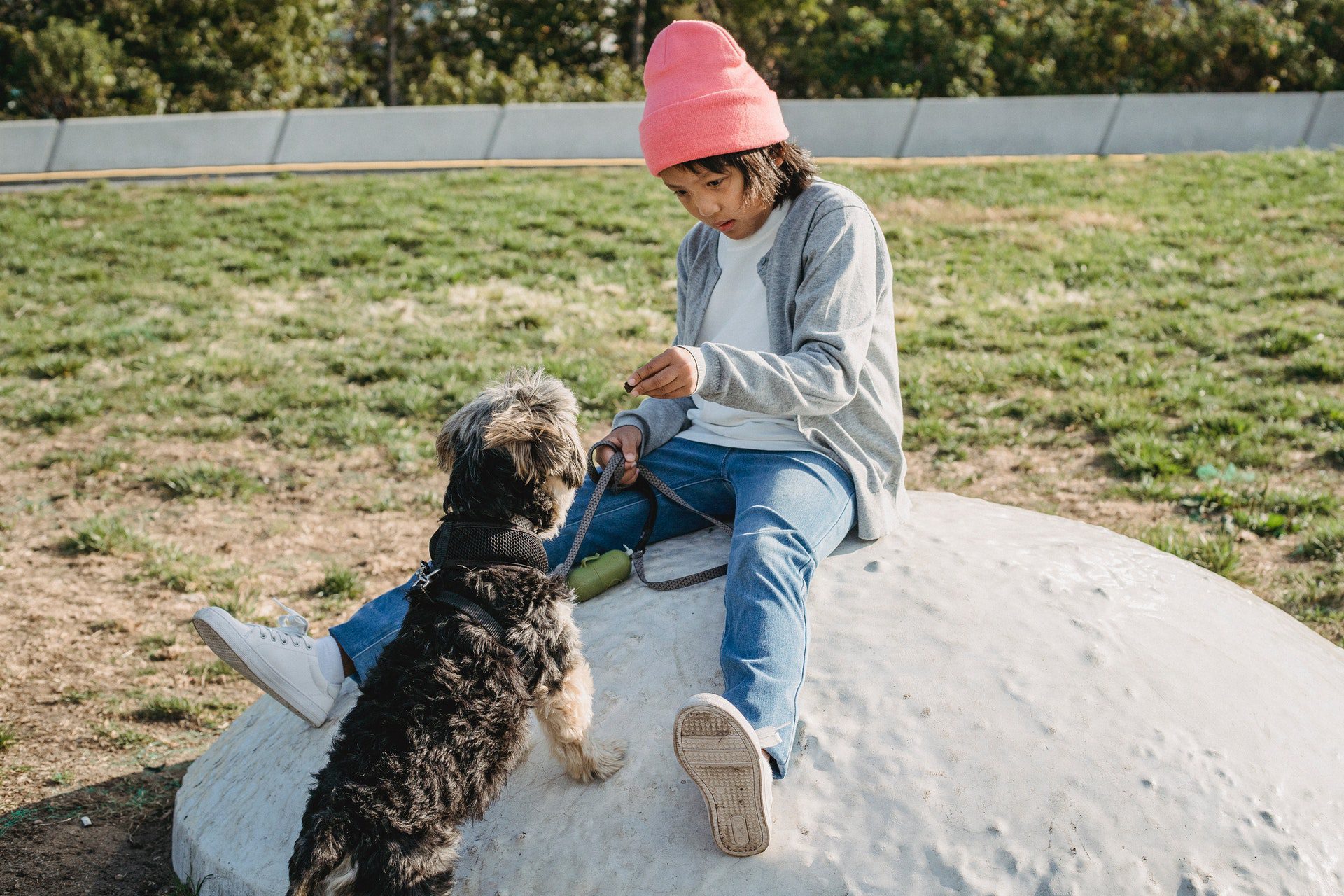 Photo of a boy training a dog