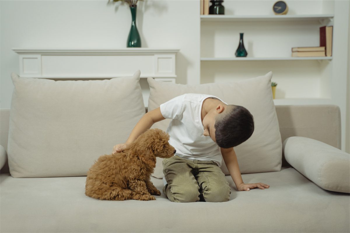 Photo of a boy training a dog