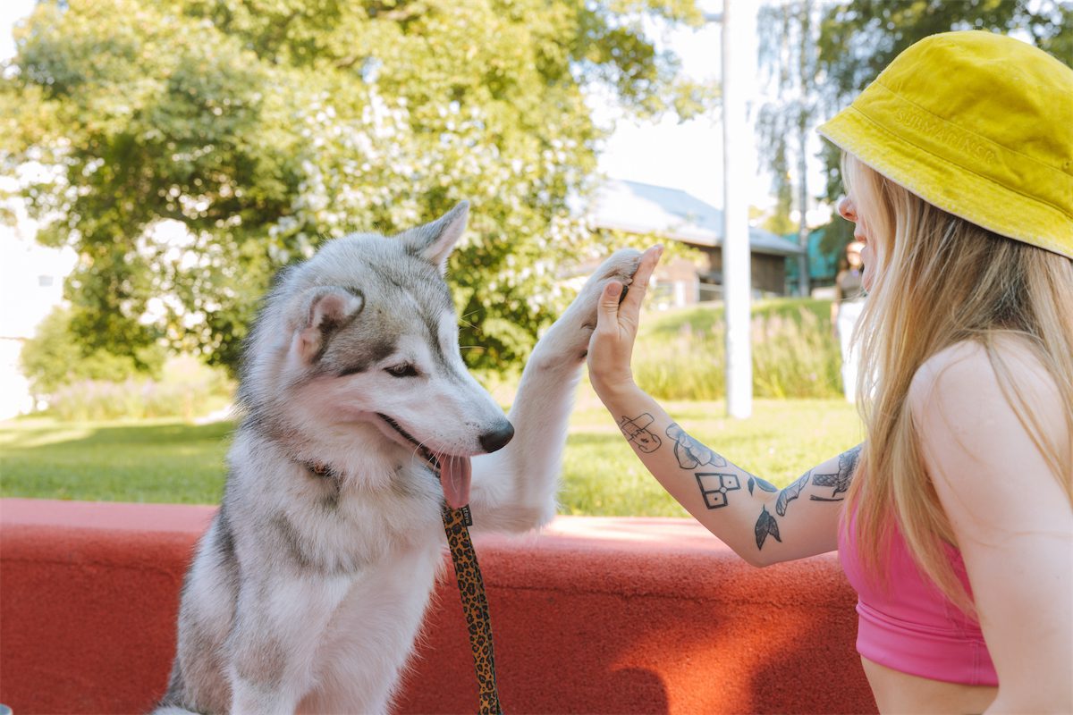 Photo of a woman and dog standing at a wall